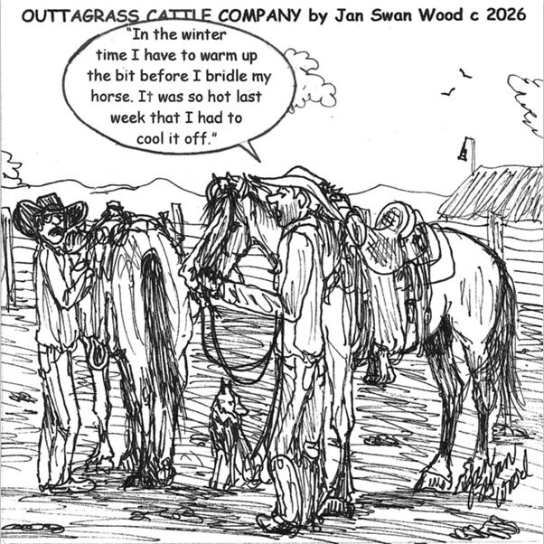 Outtagrass Cattle Company