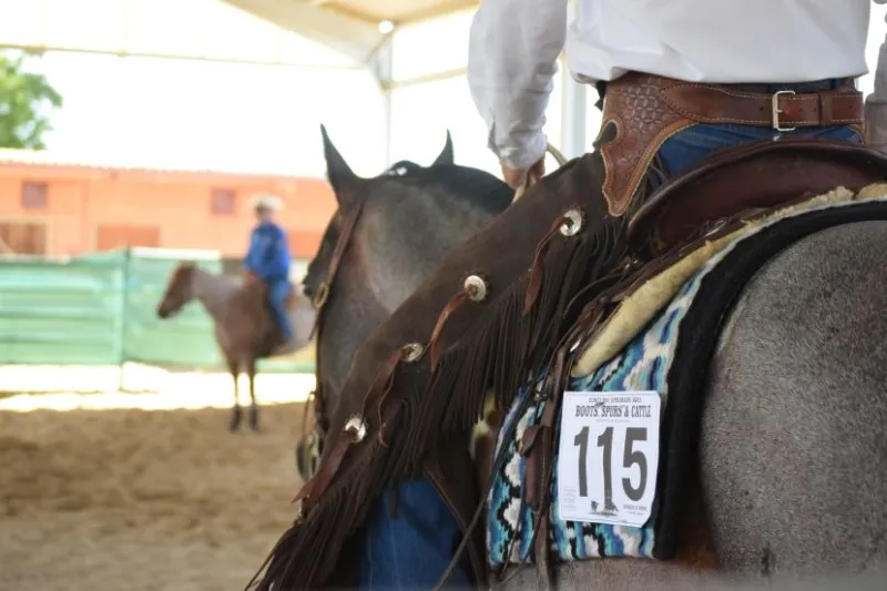 AQHA International opens 2027 Educational Marketplace Grant applications