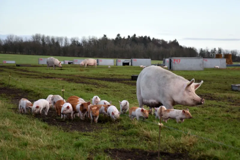 Danish farmers holding back on investing as new government abolishes historic Ministry of Agriculture