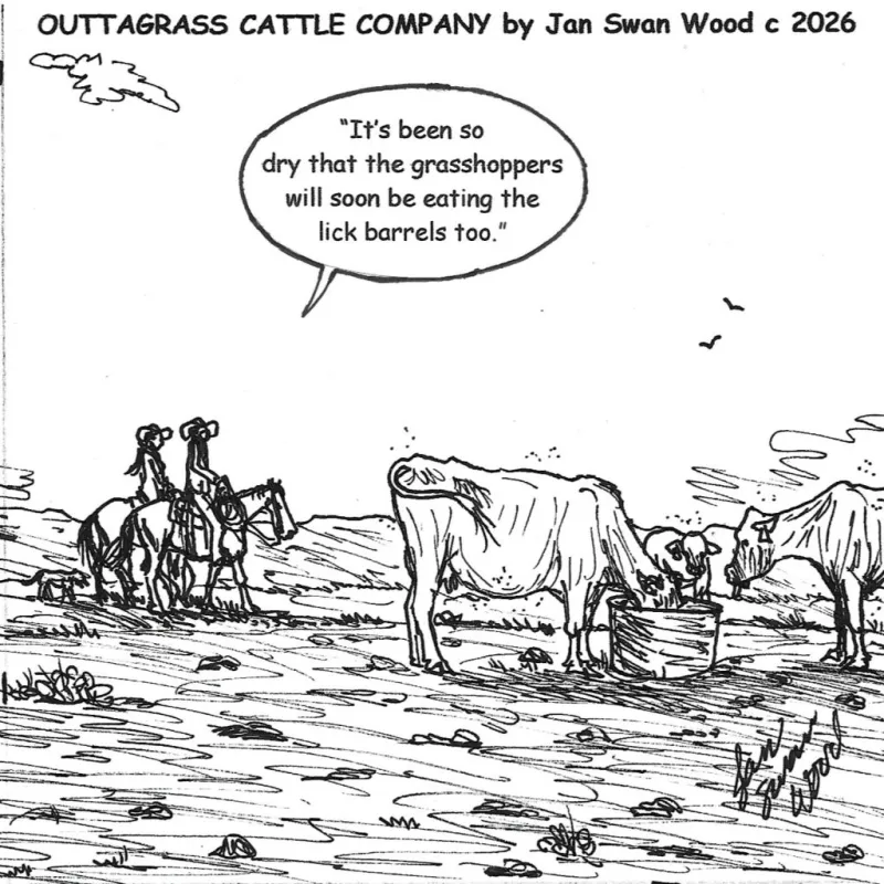 Outtagrass Cattle Company