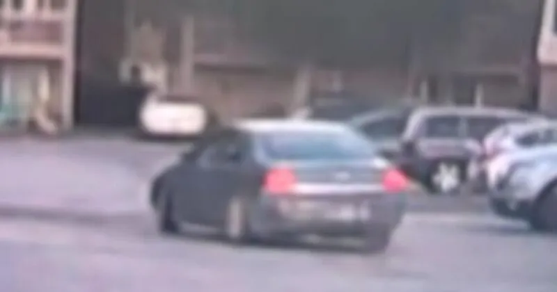 Police search for suspects after gunshots near Hainesway Apartments