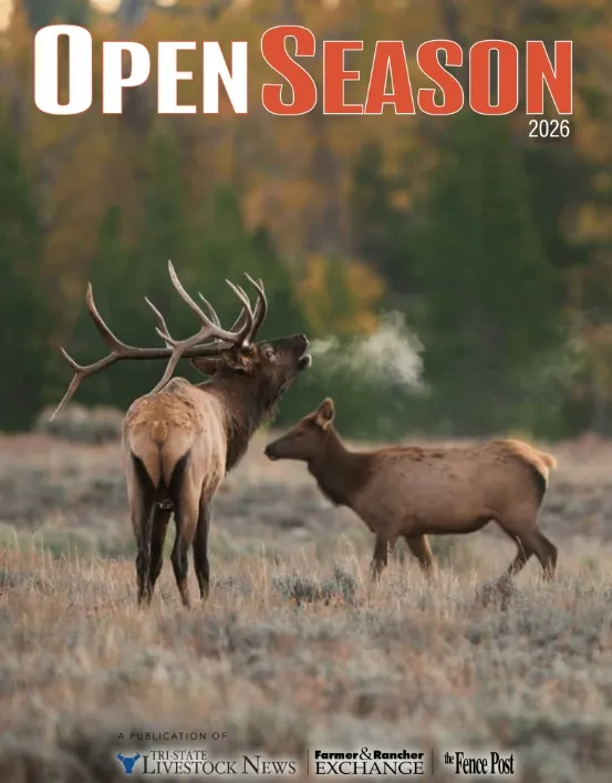 Open Season 2026