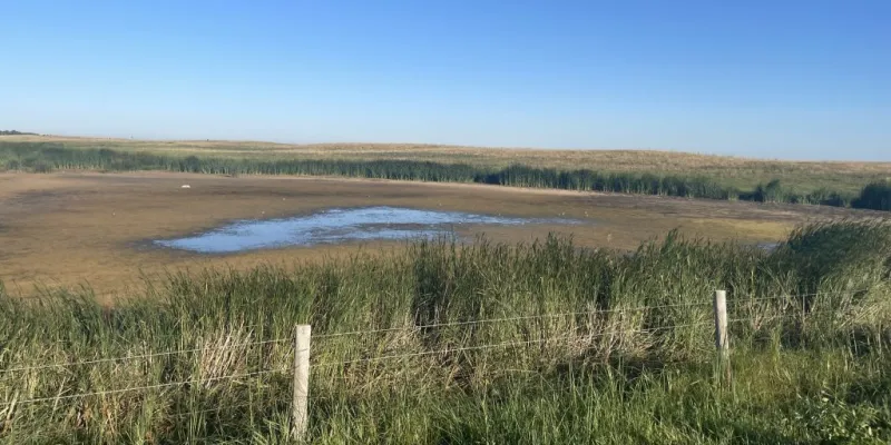 NDSU Extension urges caution when hauling water to livestock