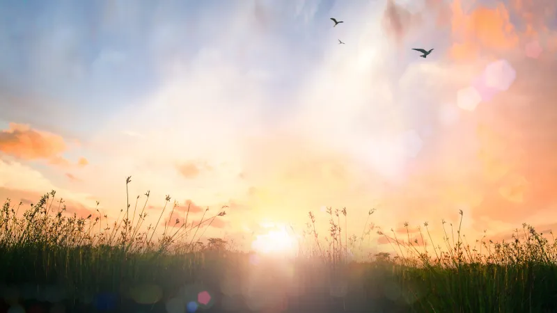 Is Christian hope just wishful thinking?