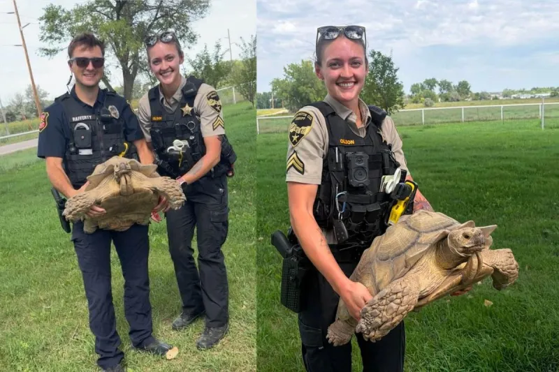 South Dakota Police Reunite Giant Runaway Tortoise With Owner