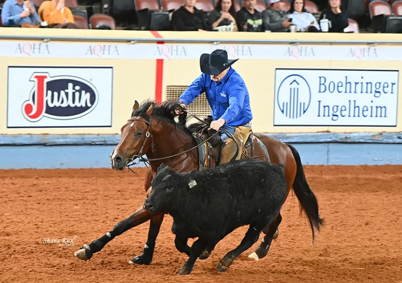 AQHA Ranch Horse Classic Returns to 2026 AQHA World Show