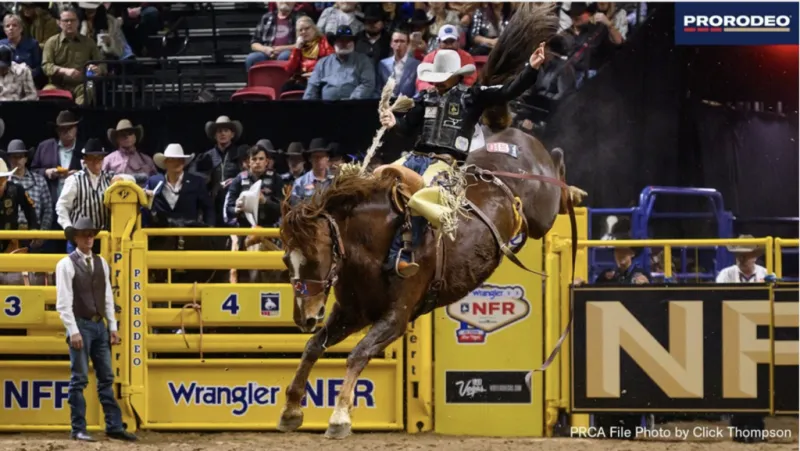 Sage Newman secures Rank 45 Xtreme Broncs Series title