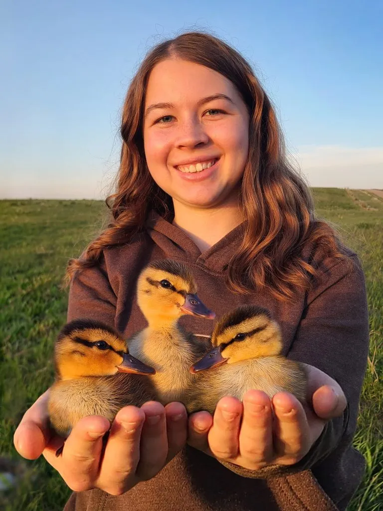 Open Season 2026 | South Dakota Teen Rescues Birds, Eggs Displaced by Farming