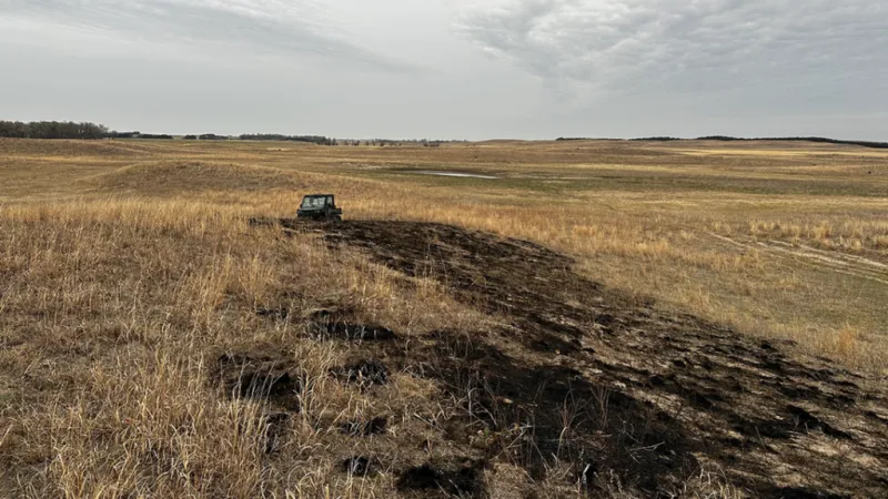 Should I reseed on Sandhills rangeland following a wildfire?