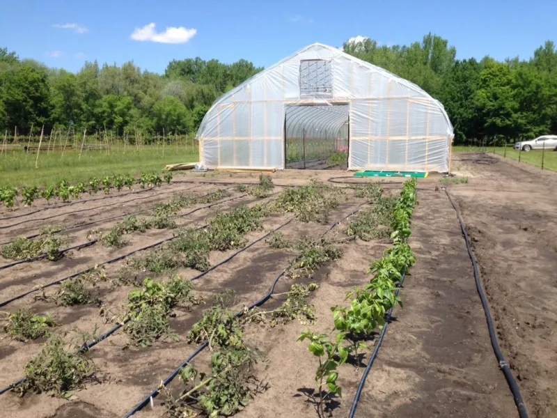 NDSU sets fruit, vegetable and woody plants field day for Sept. 10