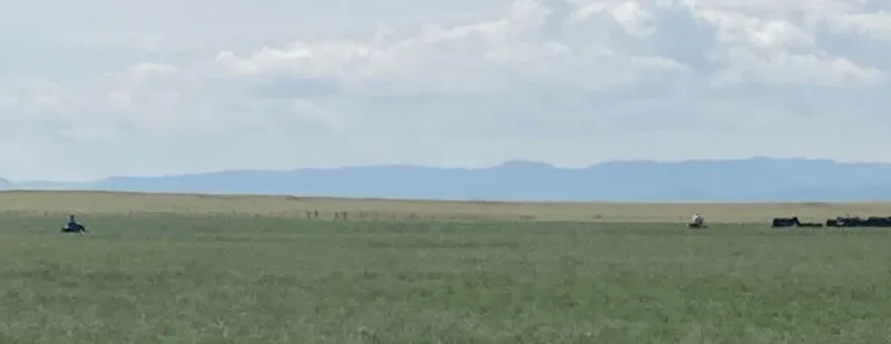 Drought adds to pastureland challenges