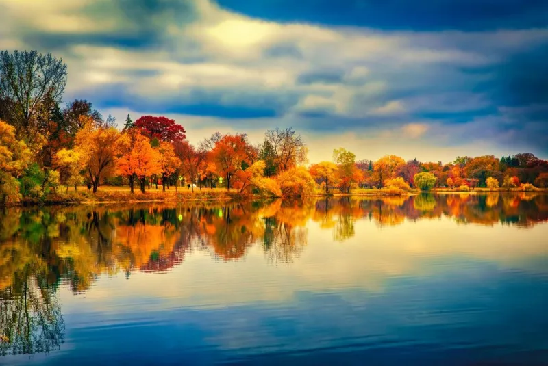 Minnesota Fall Color Finder Map Is Back!