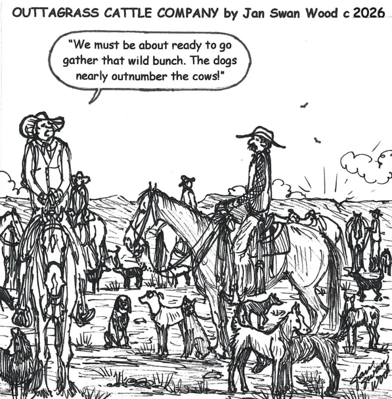 Outtagrass Cattle Company