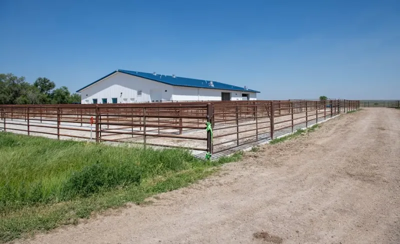 Cottonwood Field Station, Transient Animal Facility reopenings highlight new opportunities