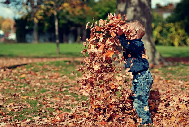 Why Fall in South Dakota Is Confusing