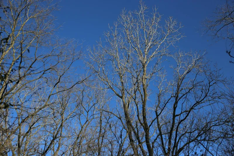 Fall Has Arrived In South Dakota. Now What?