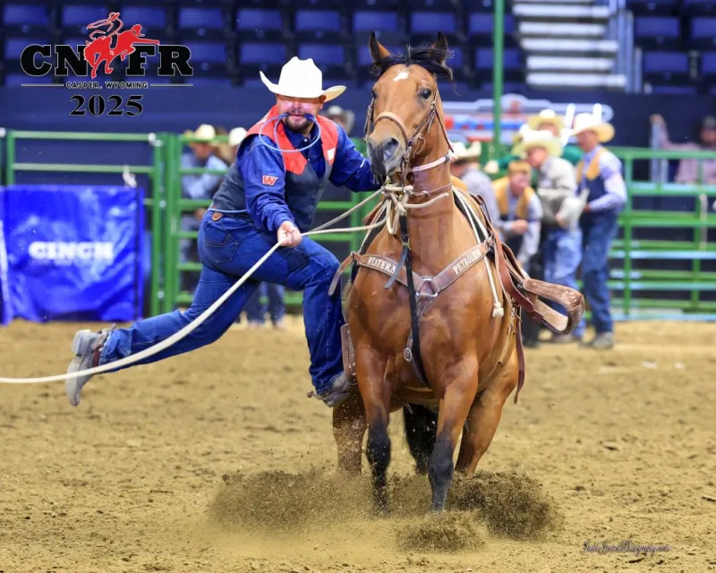 Big Horn Classic Performance Horse & Production Sale