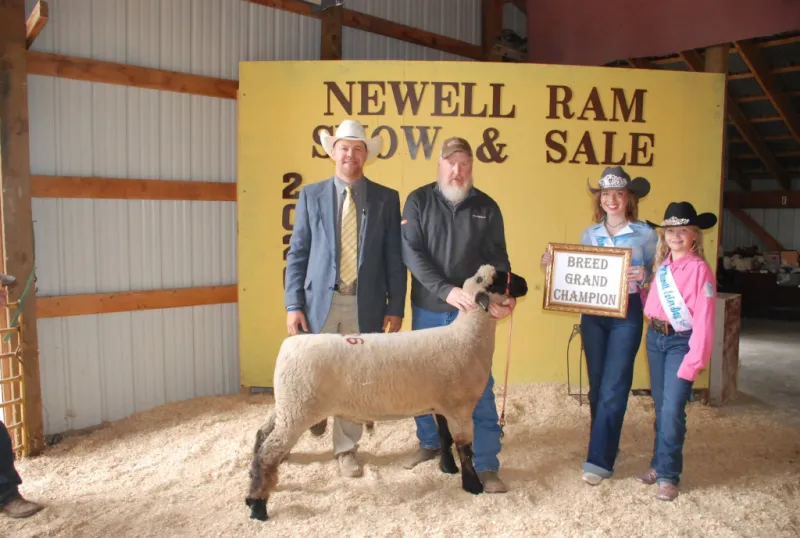 Newell Ram Sale sees higher averages