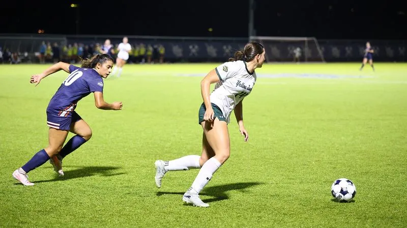 Yellow Jacket Defense Stifles (RV) Orediggers