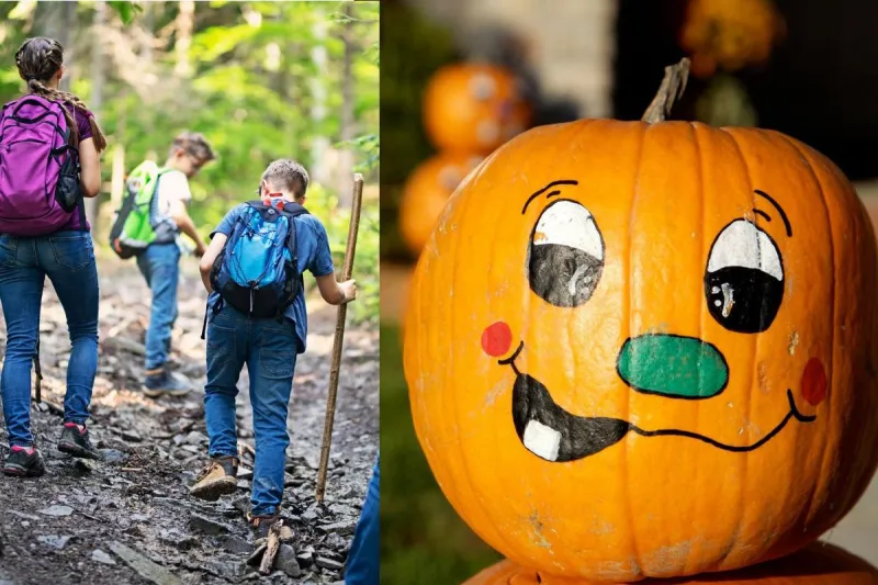 Take a Hike - Then Paint a Pumpkin at Great Bear!