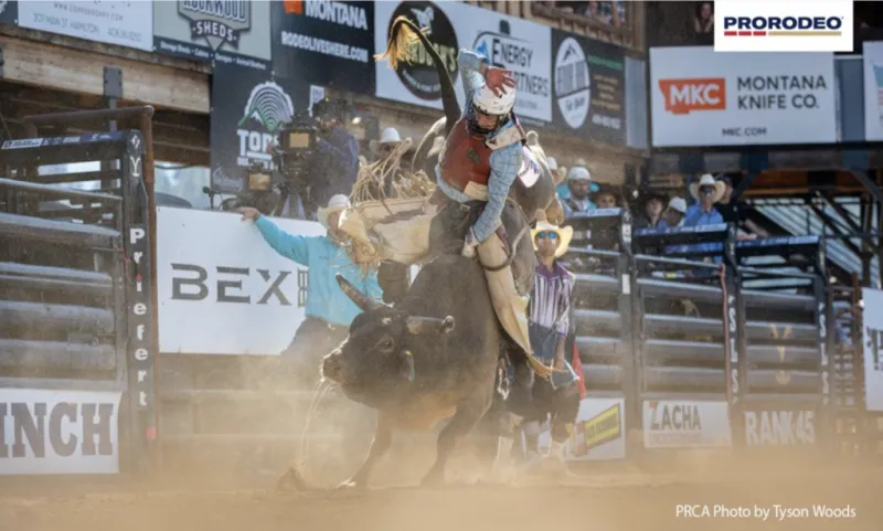 PRCA Announces 2026 Pendleton Whisky's Let 'er Buck Bucking Stock of the Year Awards