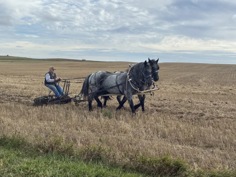 Coal Springs hosts another successful threshing bee