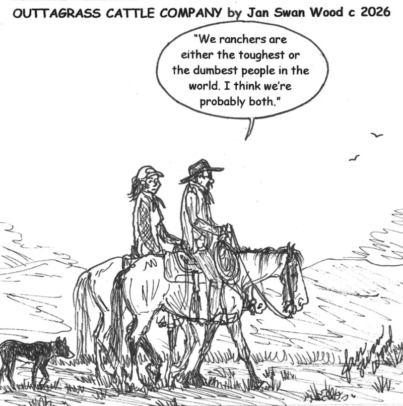 Outtagrass Cattle Company