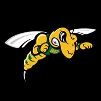 Yellow Jackets