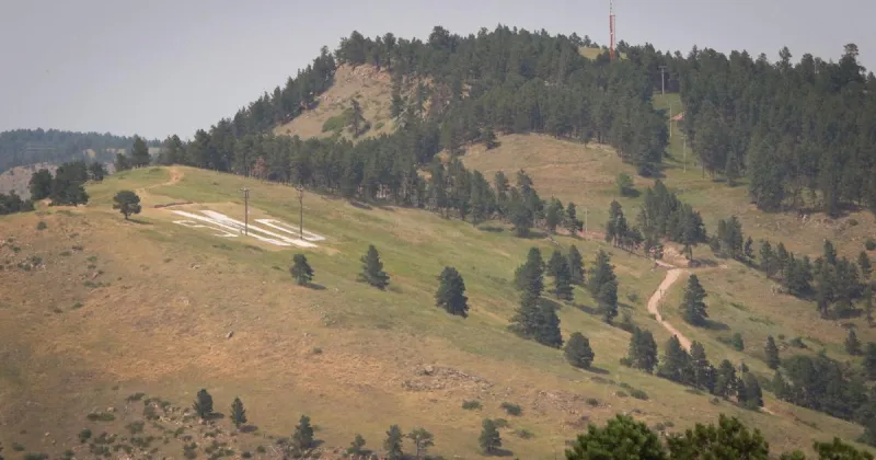 Two suspected human-caused grass fires on M Hill extinguished