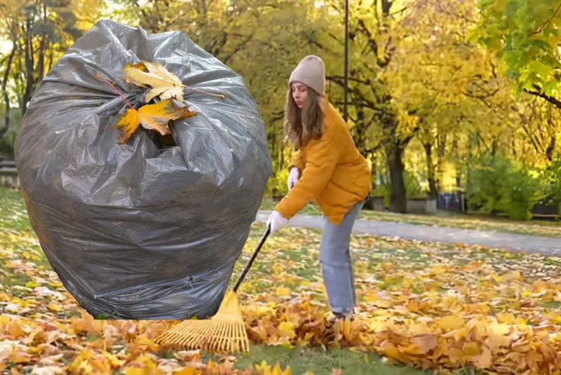 Raking Leaves in Sioux Falls? Here Are the Rules You Need to Know