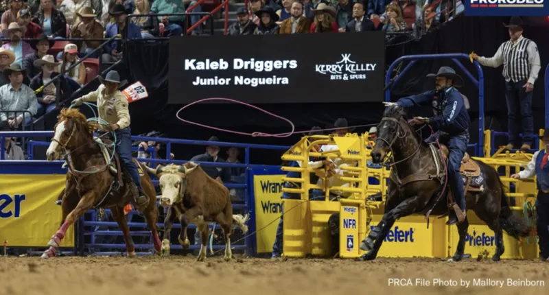 Team ropers Kaleb Driggers/Junior Nogueira finish record-setting regular season with big win