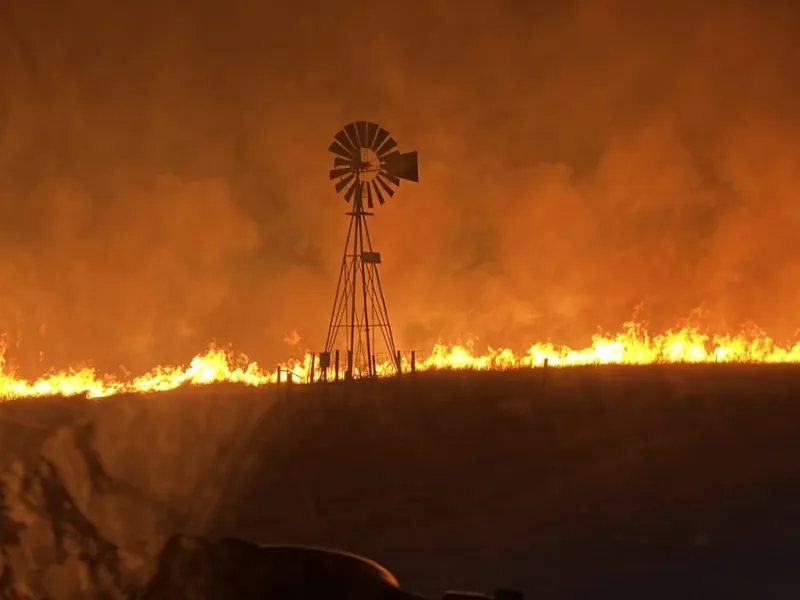 2026 Fall Cattle Journal | When you walk through the fire