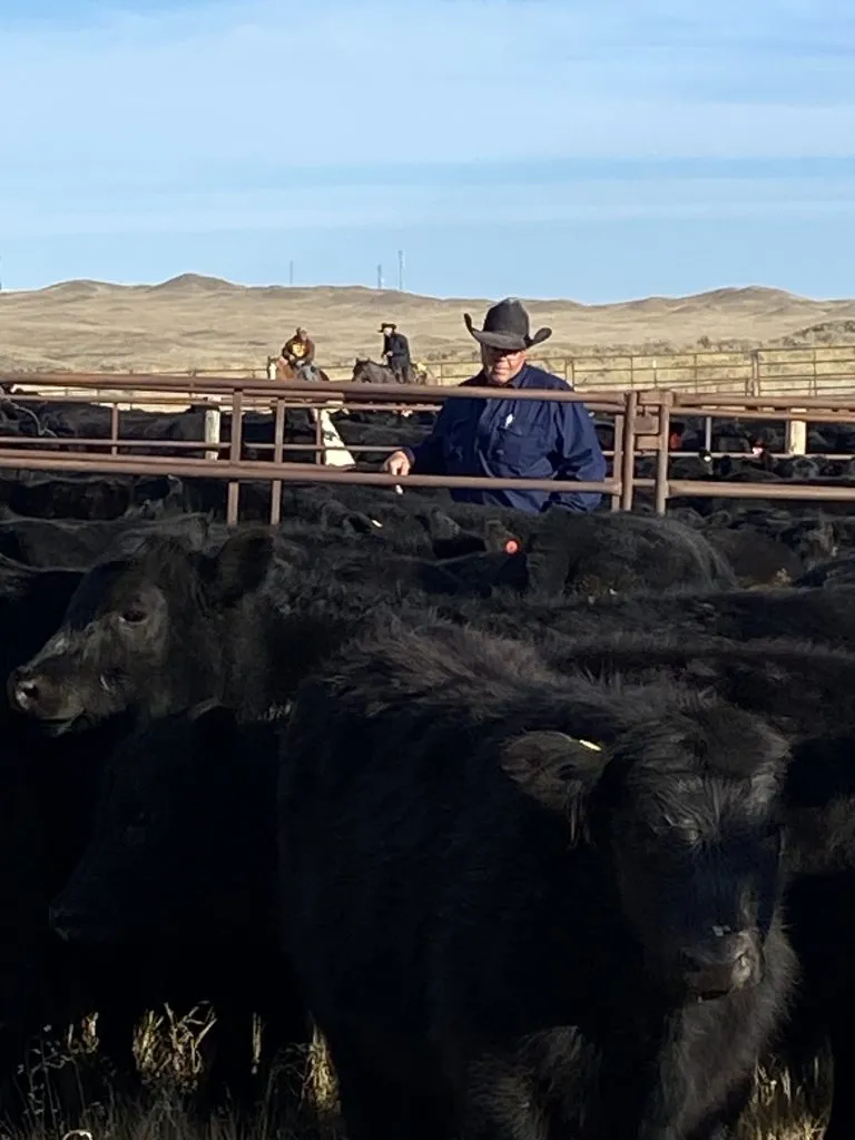 2026 Fall Cattle Journal | Reimler Cattle Company navigates extreme Wyoming drought