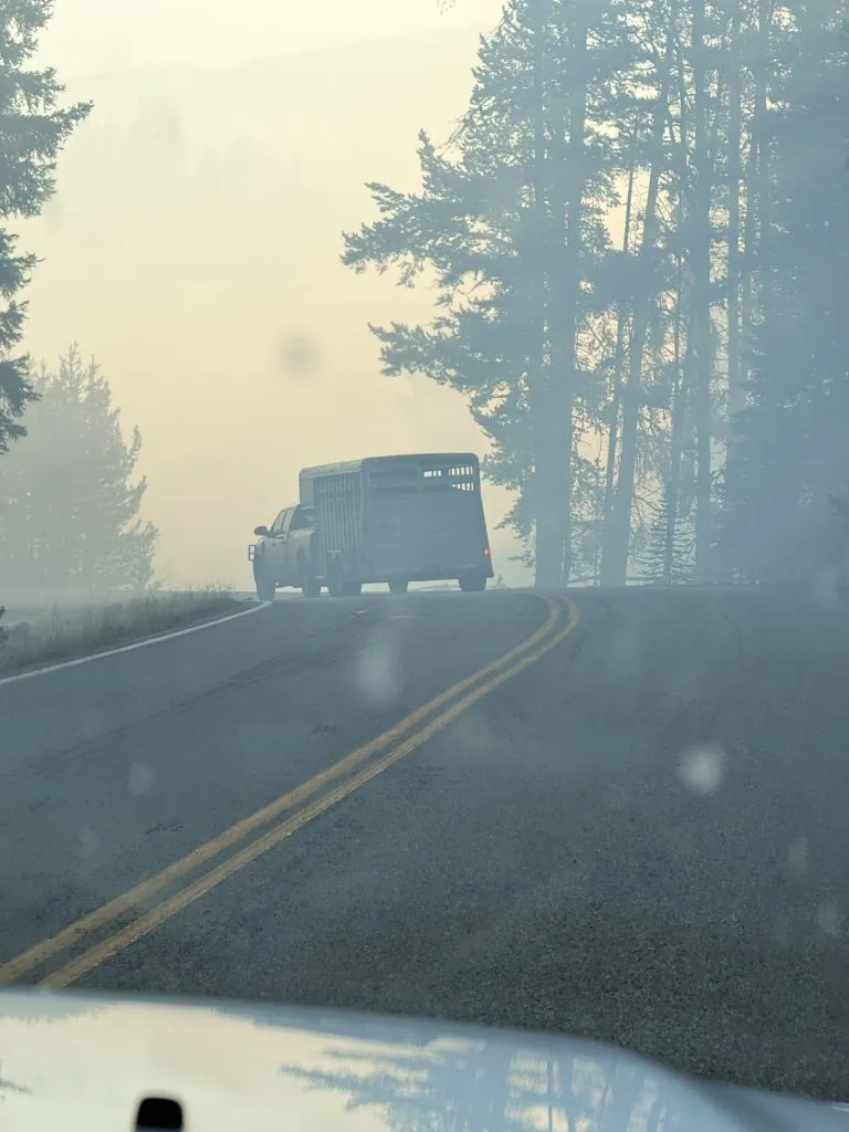 2026 Fall Cattle Journal | Holland Ranch navigates fire, evacuation and recovery