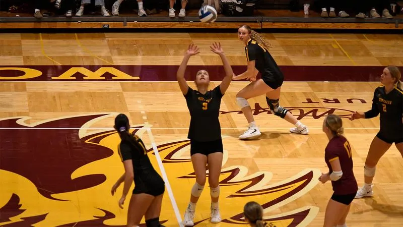 COUGARS AND NO. 12 MUSTANGS ON TAP FOR WOLVES VOLLEYBALL