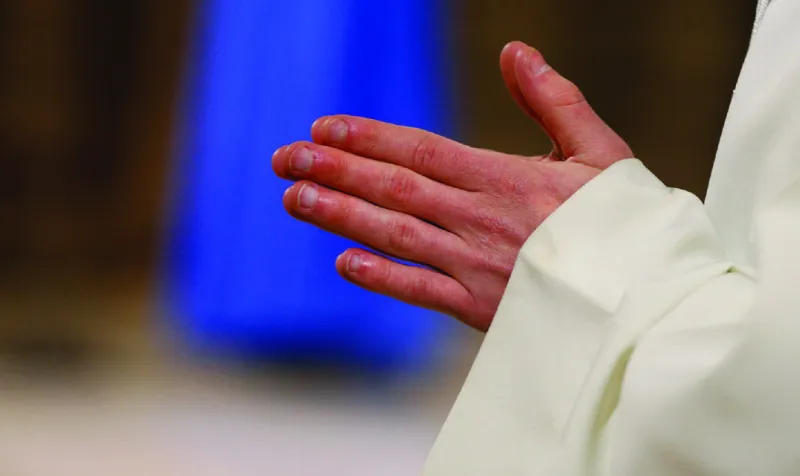 Diocese welcomes seven new seminarians