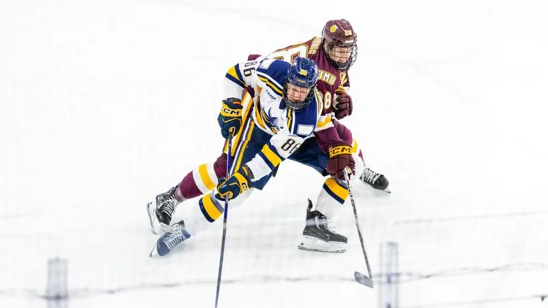 Viking Hockey Set for Home-And-Home Weekend Series Against Omaha