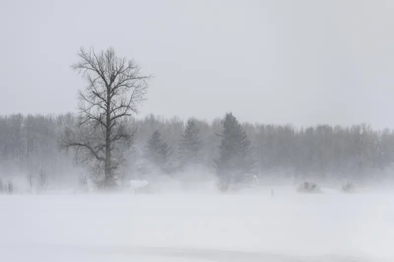 South Dakota's Winter Weather Preparedness Day Falls On Oct. 28