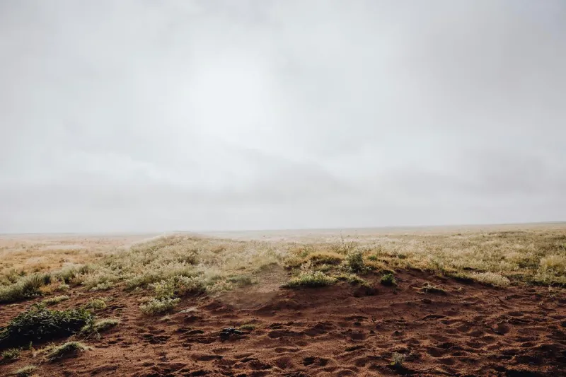 The Most West Texas Flex Ever: Knowing a Guy With Land