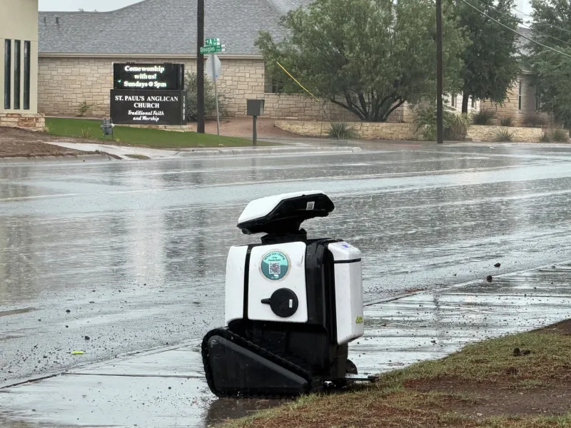 Storm damage raises mold, scam concerns for area property owners