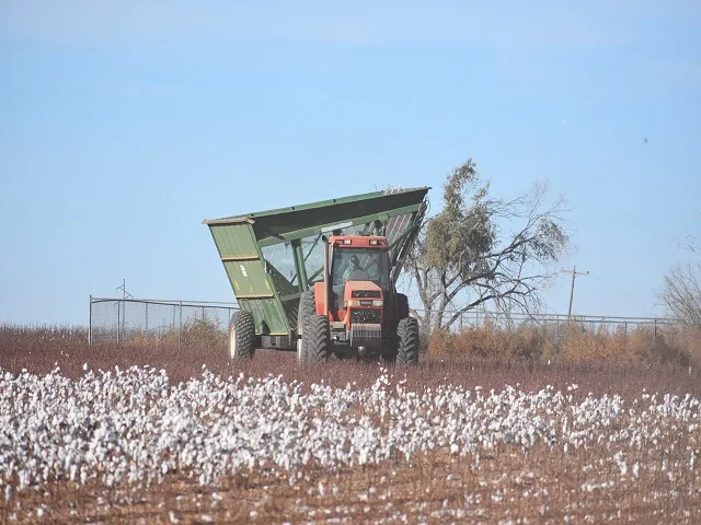 USDA Cotton Plan Targets Demand and Manufacturing Losses
