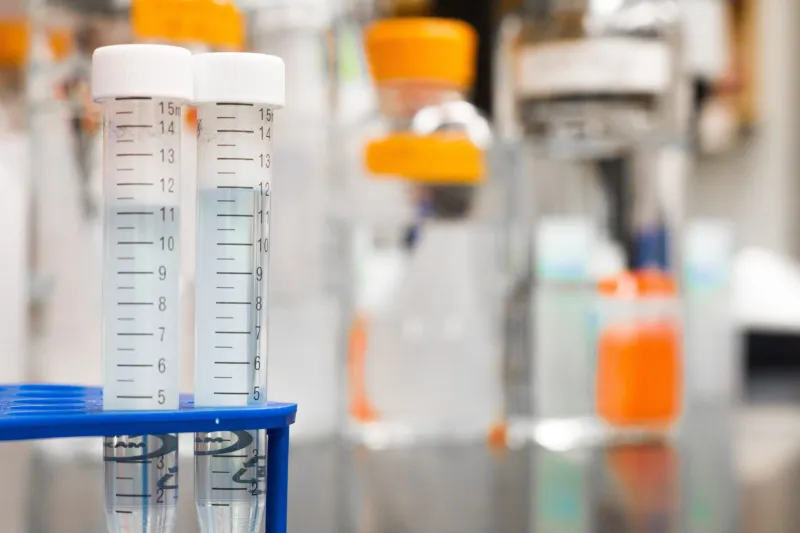 Alternative Protein Laws Keep Changing Across Farm States