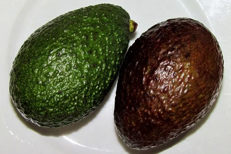 Mexican Avocado Volume Drop Sends Market Prices Higher