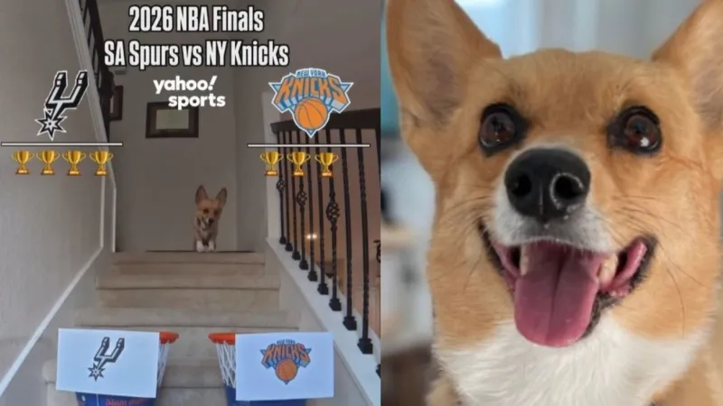 POLL: Air Corgi picked Spurs in 7. How many games will San Antonio need to win it all?