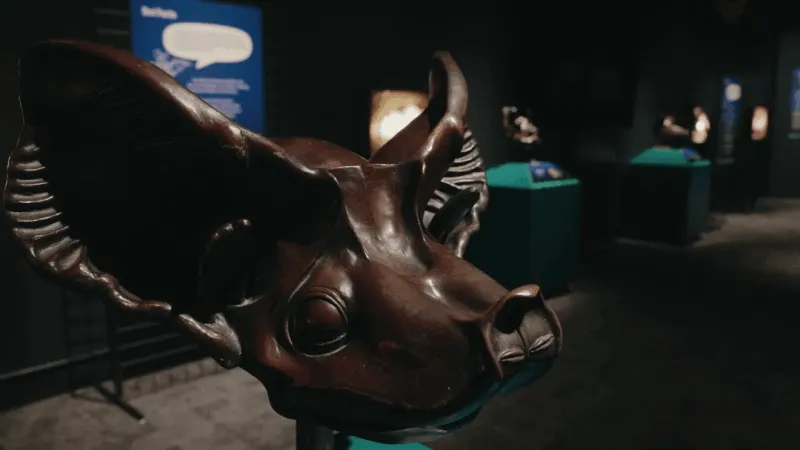 New bat exhibit "Masters of the Night" opens at Texas Science & Natural History Museum
