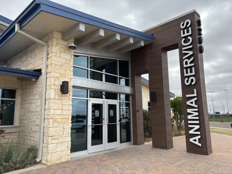 Midland Animal Services receives $150,000 spay and neuter grant