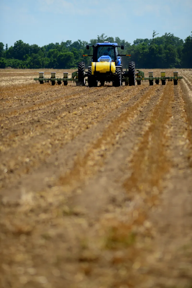 Prevented Planting Rule Narrows Farm Risk Management Options