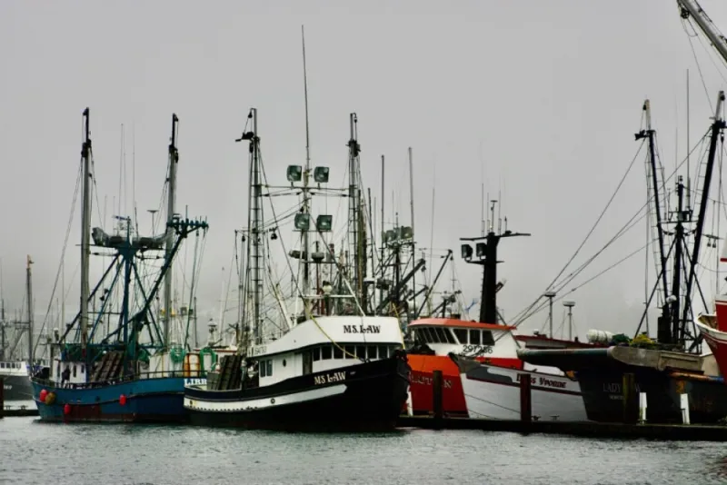 Trump Opens Pacific Waters To Commercial Fishing Access
