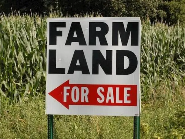 Farmland Sale Tax Deferral Offers Cash Flow Flexibility