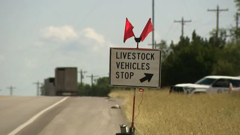 'There's nothing to worry about,' Livestock expert addresses Screwworm concerns